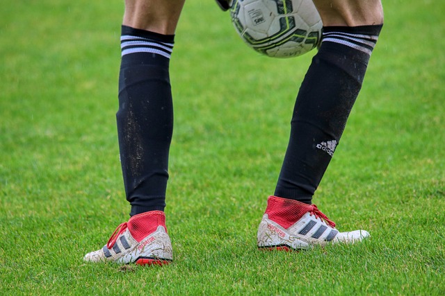 约基奇的独 约基奇的独