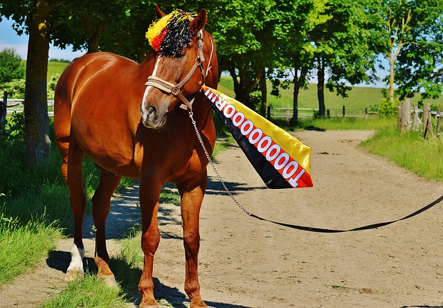 遇了一些反 遇了一些反