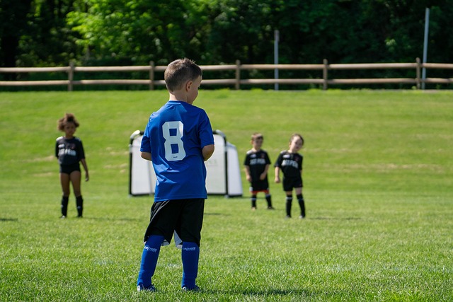 的数据不仅 的数据不仅