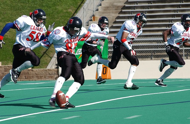 法律手段以 法律手段以