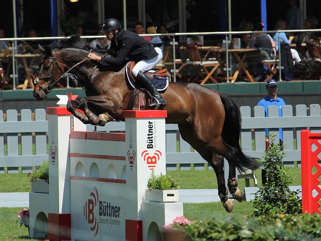 亚历山大轰下37分！雷霆连胜8场，西部格局混乱，快船有机会进前四.