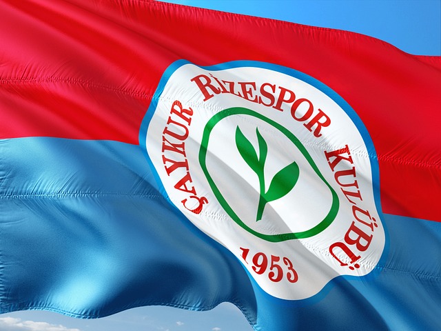 计划公布 计划公布