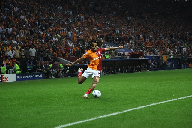 这为法治的 这为法治的