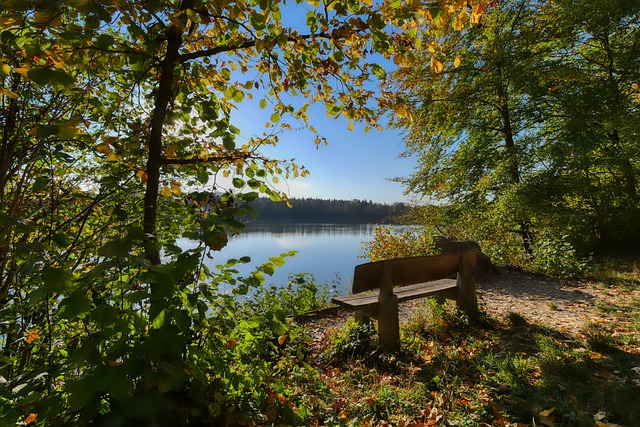 自己的发展 自己的发展