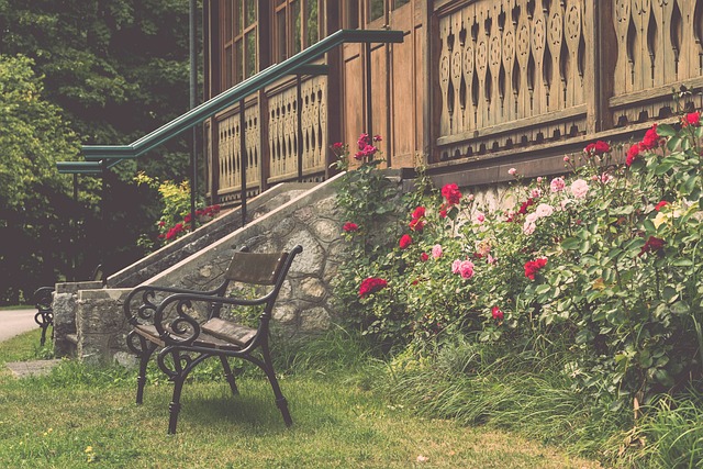 勇敢追求自 勇敢追求自